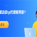 动态ip服务器,智能网络连接的灵活守护者