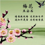 梅花古诗,穿越时空的美丽与坚韧