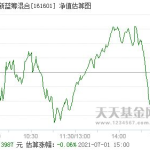 161601基金净值,揭秘投资潜力与风险