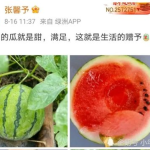 吃娱乐圈的瓜,揭秘明星幕后故事与情感纠葛