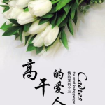 菟丝花 高干,高干世界的柔情缠绕