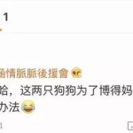 吃瓜娱乐账号起名大全最新,盘点最新吃瓜娱乐账号起名大全