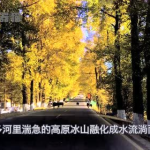 娱乐吃瓜君集美,揭秘娱乐圈那些不为人知的幕后故事