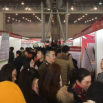 人才招聘会,汇聚精英，共创未来职业机遇