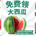 在线免费吃瓜,揭秘网络世界的免费娱乐盛宴