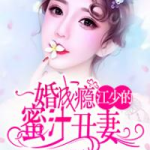 丑妻小说免费阅读全文,逆袭之路，爱情与权力的较量